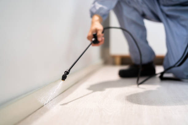 Professional exterminator conducting IPM assessment in Bay Point