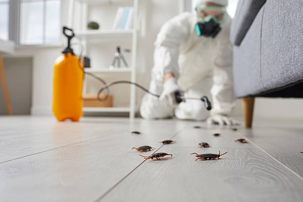 Commercial Kitchen Cockroach Control in Bay Point